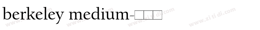 berkeley medium字体转换